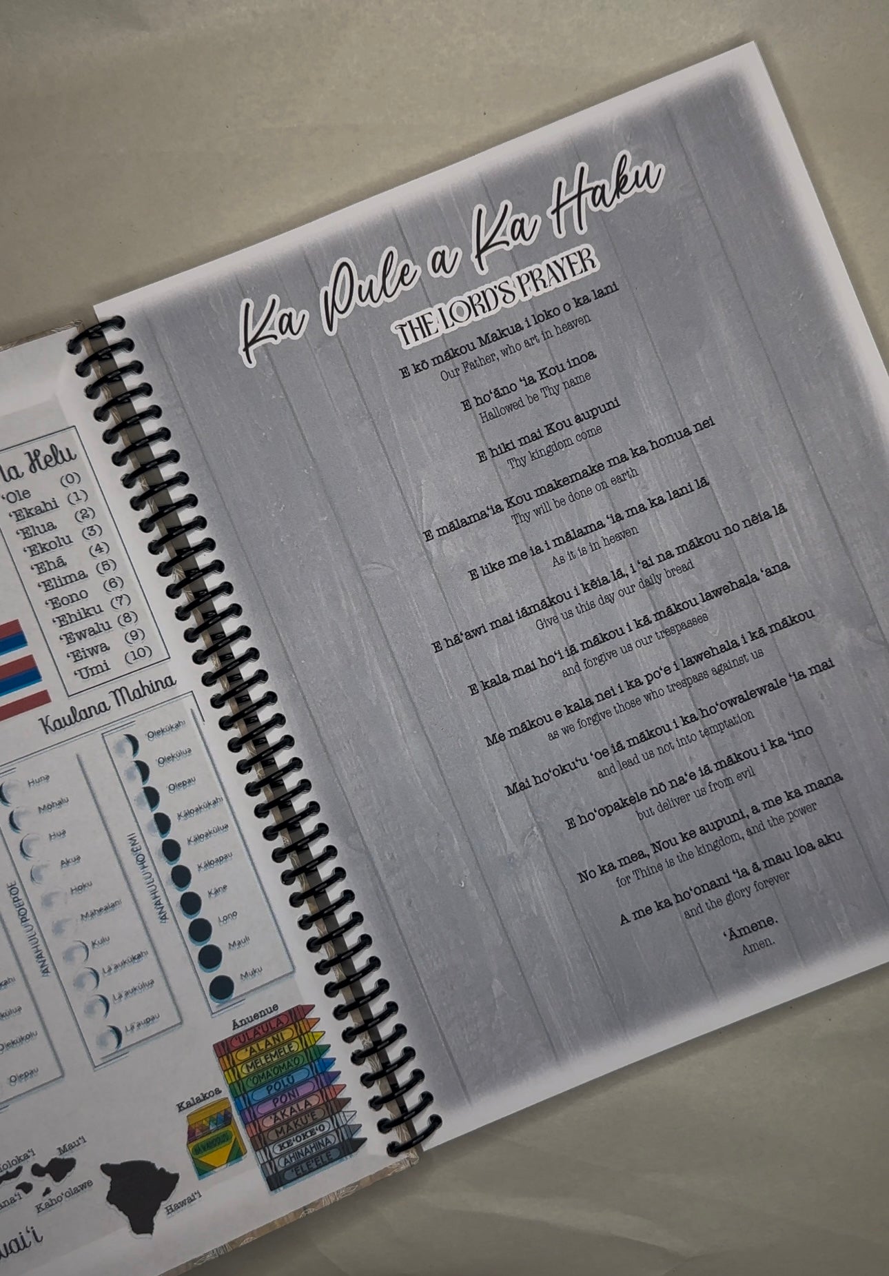 Bible Study Notebooks