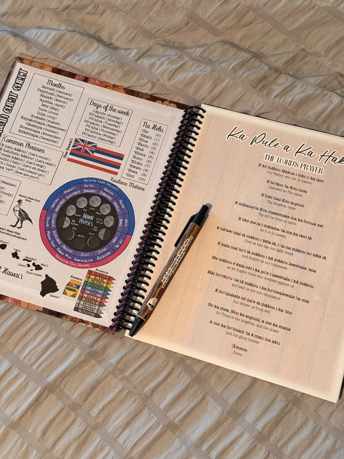 Bible Study Notebooks